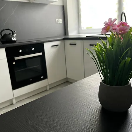 Beskid Rest Casa de hóspedes Żywiec