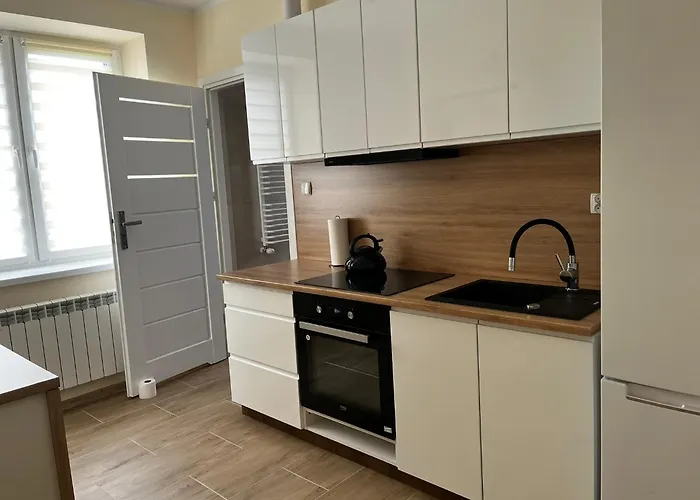 Beskid Rest בית הארחה Żywiec