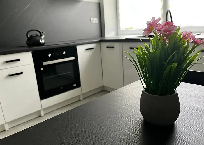 Beskid Rest בית הארחה Żywiec