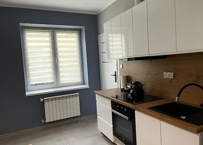 Beskid Rest בית הארחה Żywiec